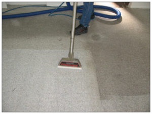 professional carpet cleaning